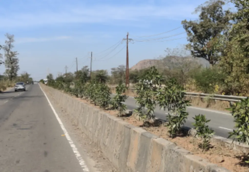 Education & Skill Development