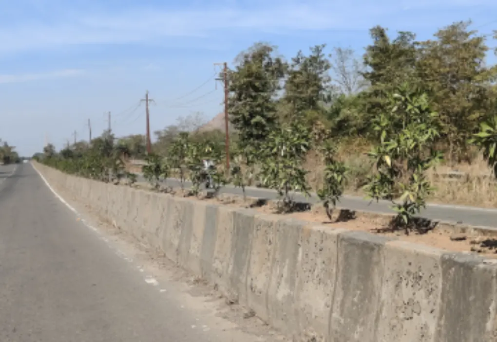 Education & Skill Development