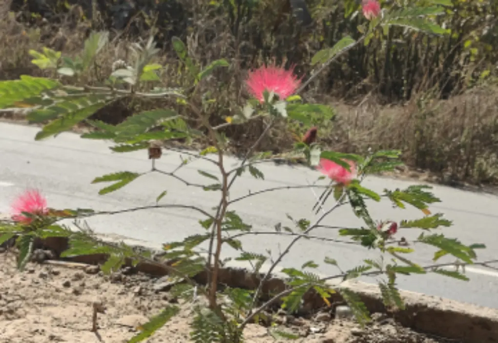 Education & Skill Development