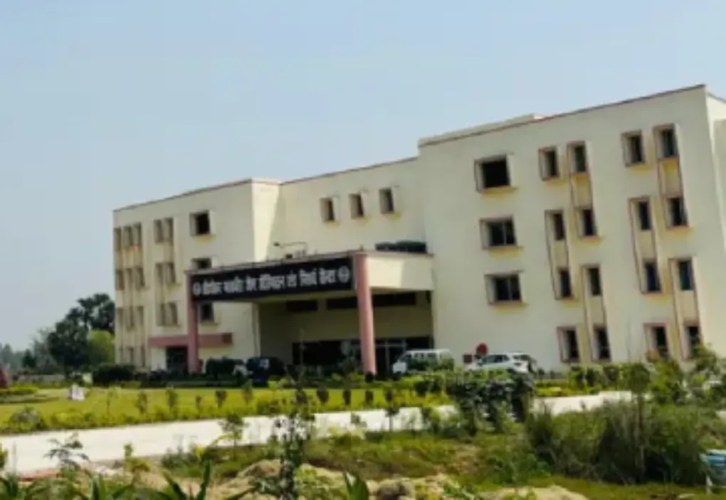 Education & Skill Development