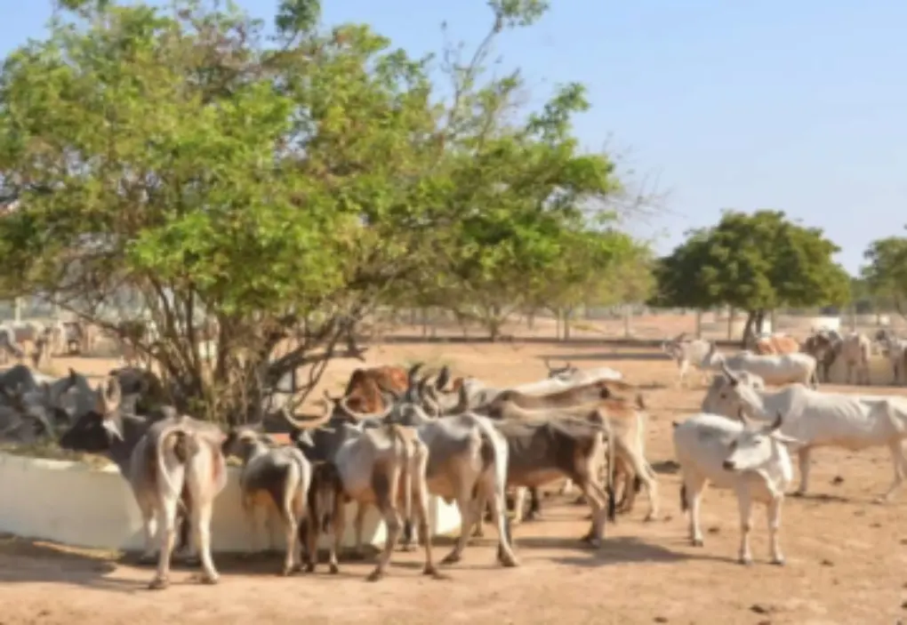 Education & Skill Development