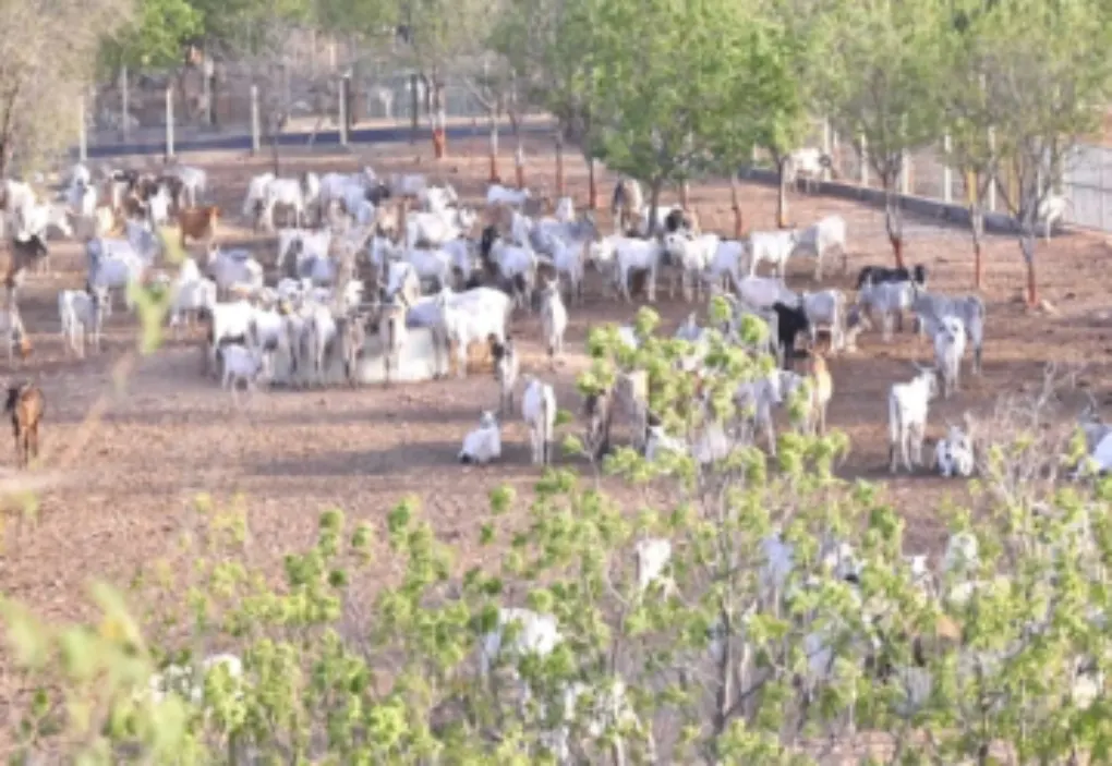 Education & Skill Development