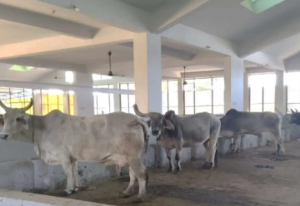 Education & Skill Development