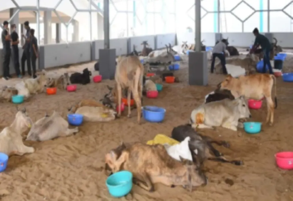 Education & Skill Development